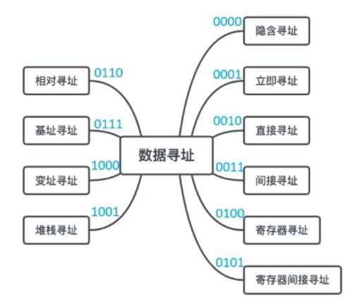 計(jì)算機(jī)組成與體系結(jié)構(gòu) 體系結(jié)構(gòu)分類與系統(tǒng)服務(wù)概述
